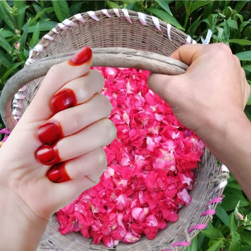 ผงย้อมเล็บเฮนน่า 40 กรัม สำหรั - Nail Art For Men บทวิจารณ์และราคา
